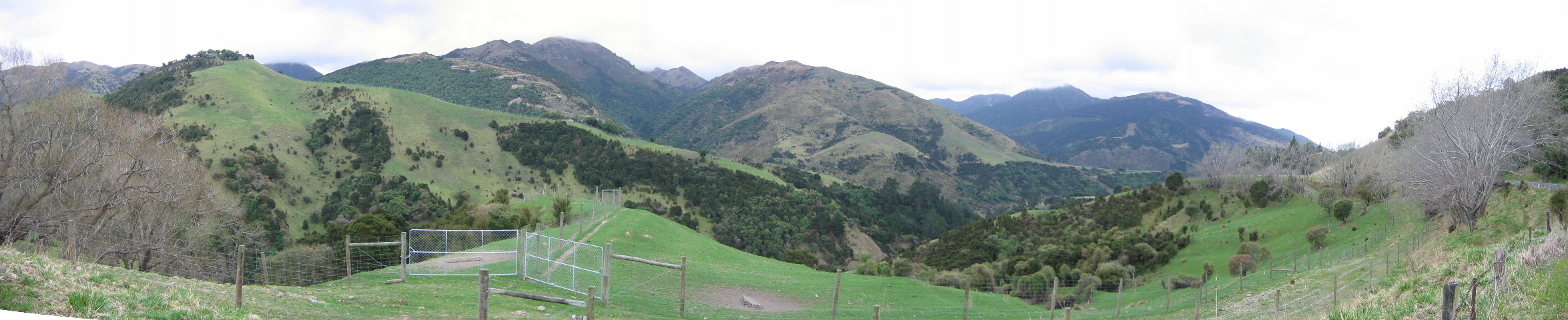 North of Christchurch, driving to Kaikoura