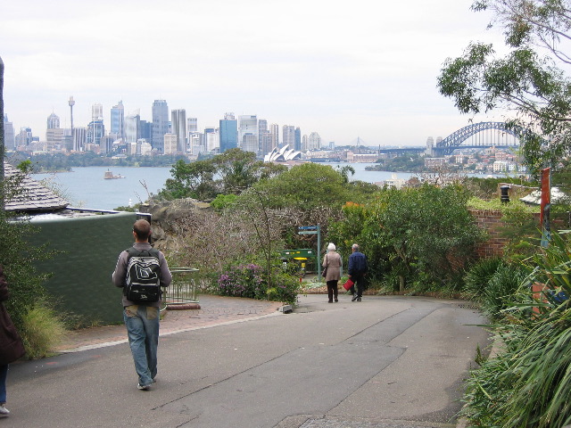 Sydney skyline from Sydney zoo