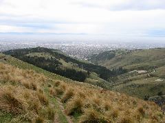 Christchurch from Port Hills