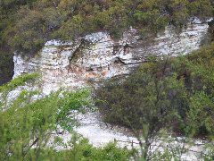 "Alum Cliffs", Waiotapu