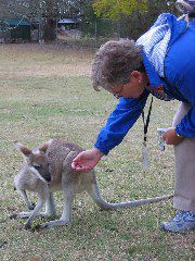 Shelley with wallaby, at Lone Pine Koala Sanctuary, Brisbane