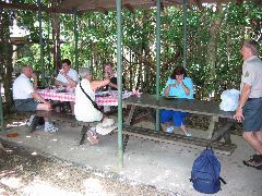 Lunch in Daintree rainforest